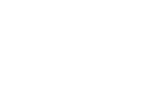 Stays Logo